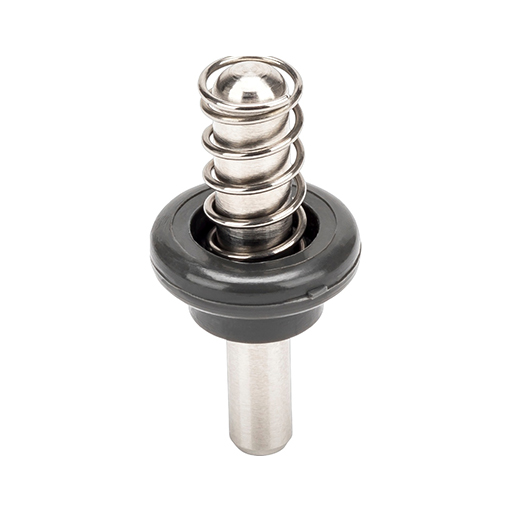 Plunger & Spring For A4274