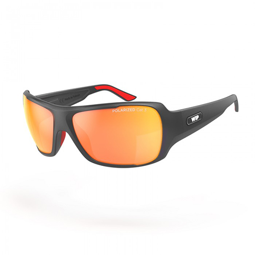 Lunettes Polarisées WIPSUN Gris L