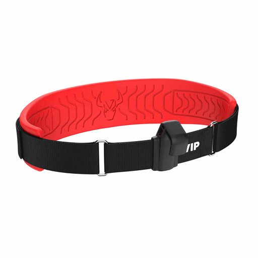 WING BELT 2.0 - L-XL